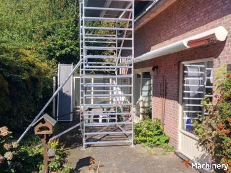 CUSTERS Corona Mason`s scaffolding (2017 year) #1195