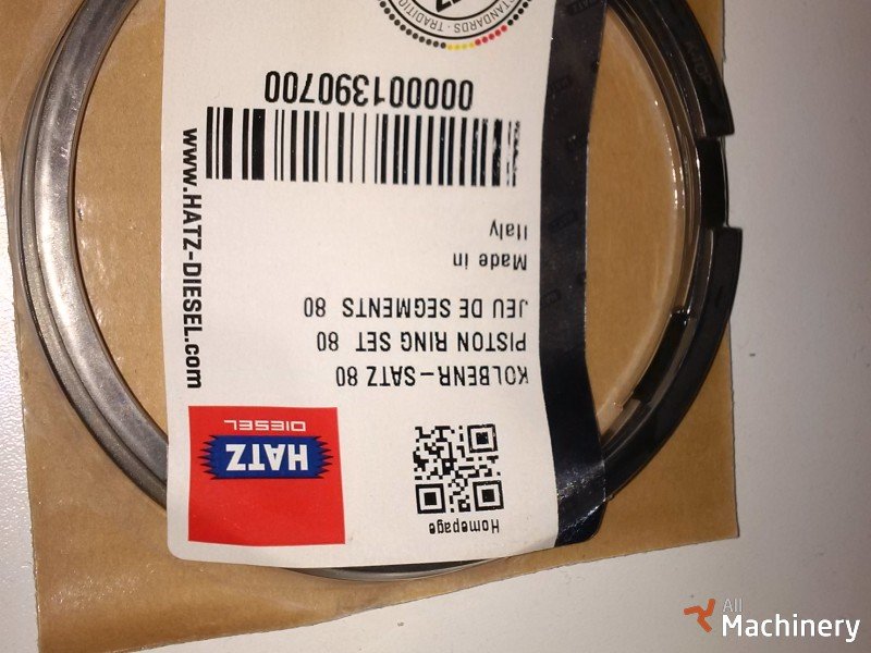 HATZ piston rings for 1B30, 01390700 Diesel engines for parts #1506