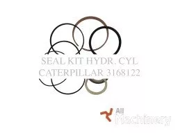 CATERPILLAR CATERPILLAR 3168122 Loader hydraulics (2024 year) #7028