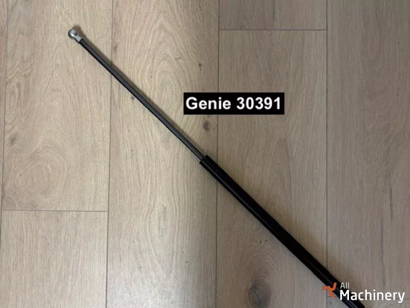 GENIE 30391 Other parts for working platforms (2025 year) #8217